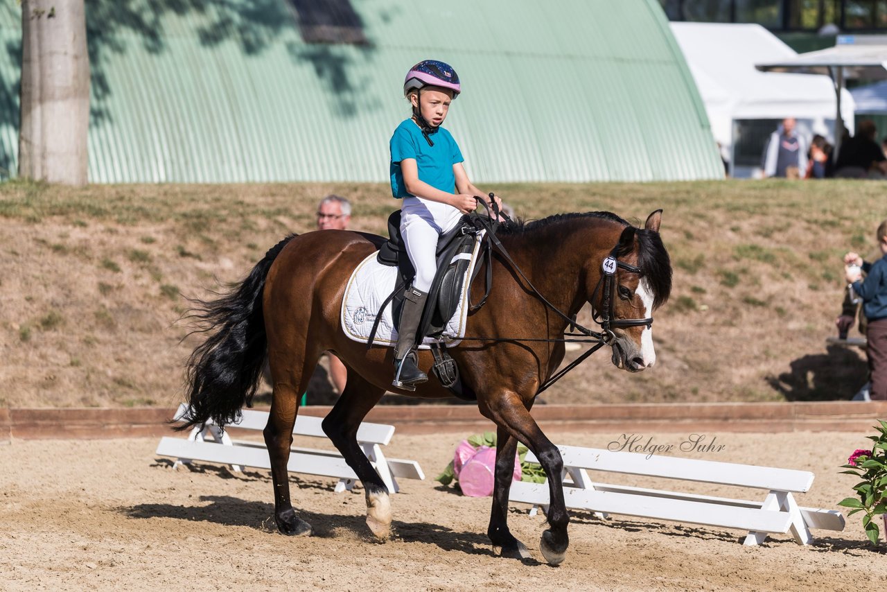 Bild 56 - Pony Akademie Turnier